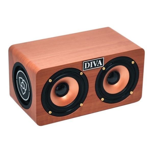 Diva S1 enceinte Bluetooth